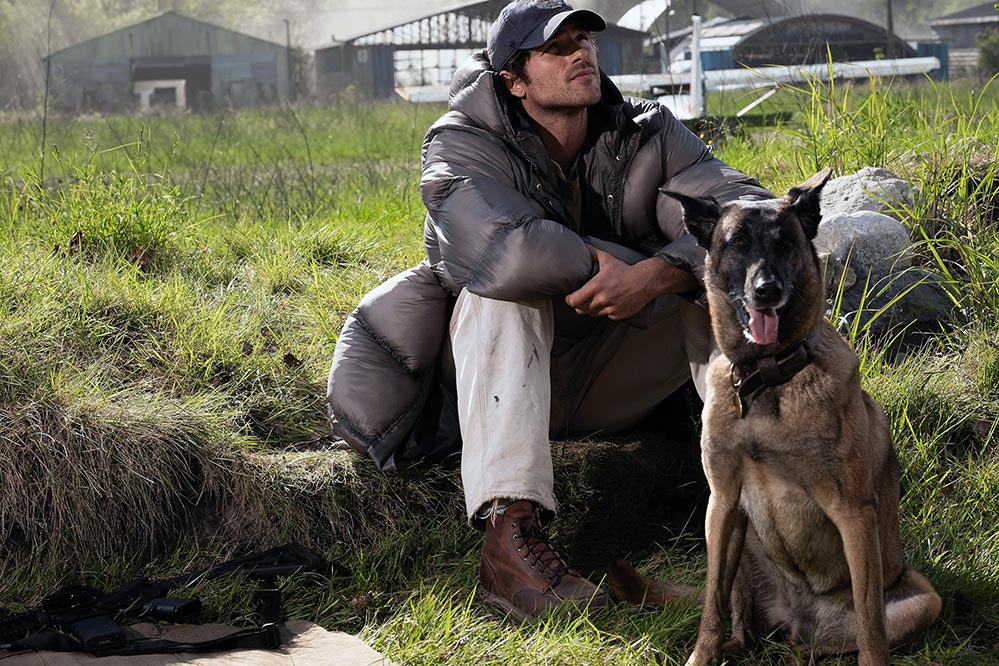 The Dog Stars 3