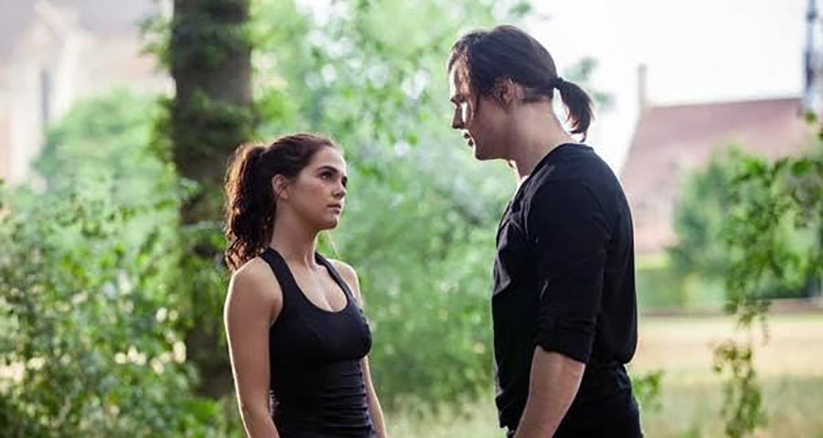 Vampire Academy 4